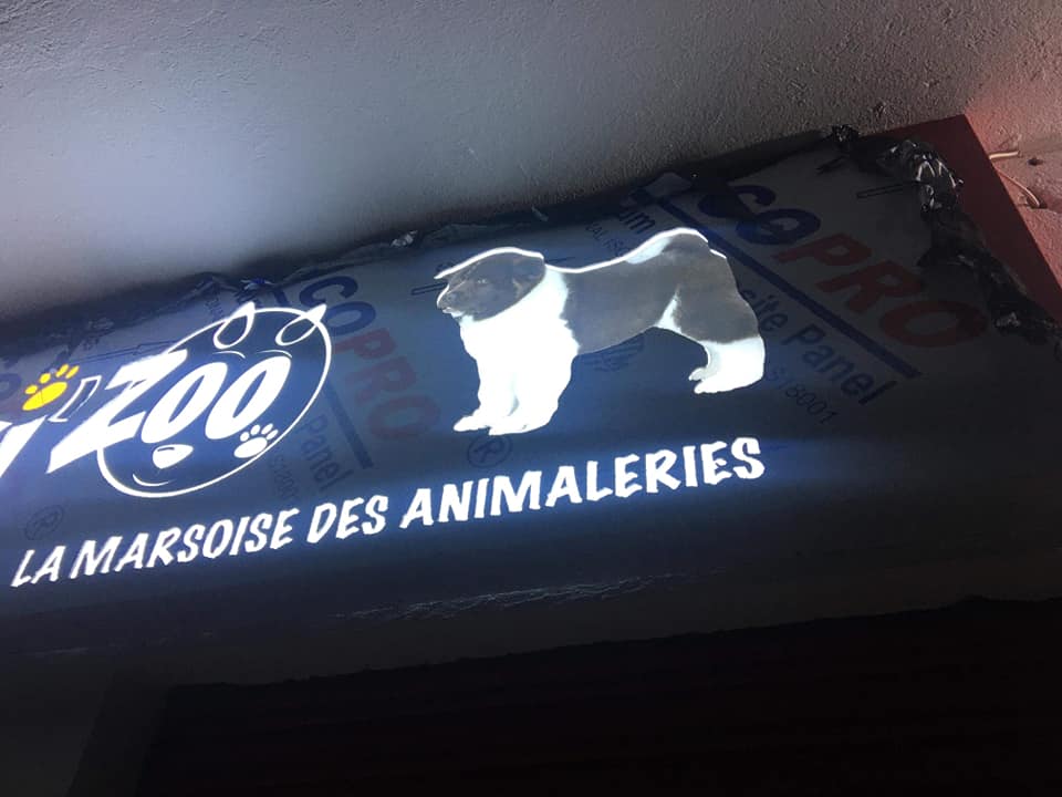 Habillage façade Panneau enseigne lumineuse animalerie marrakech